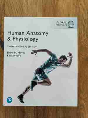 human anatomy & physiology