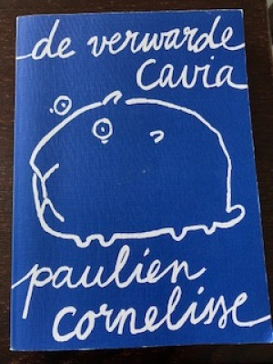 De verwarde cavia