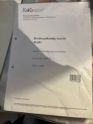 Boekhoudkundig inzicht