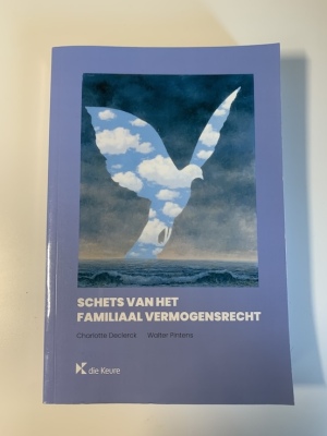 Schets van het familiaal vermogensrecht