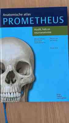 Prometheus deel 3: hoofd en zenuwstelsel