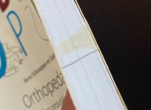 Orthopedagogiek; Een praktijkgerichte basis