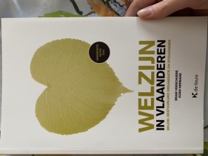 Welzijn in Vlaanderen - Beleid, bestuurlijke organisatie en uitdagingen (herwerkte editie 2020)