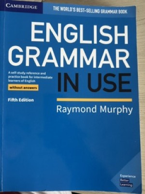 ENGLISH GRAMMAR IN USE, Without Answers, 5de editie