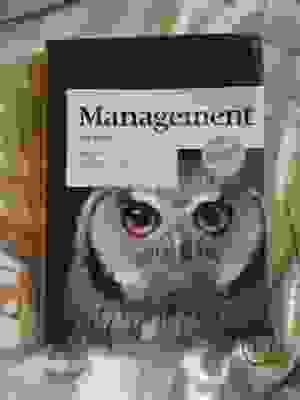 Management 14e editie