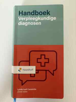 handboek verpleegkundige diagnoses