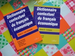 Dictionnaire contextuel du français économique