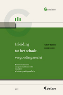 Inleiding tot het schadevergoedingsrecht
