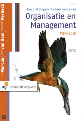 Een praktijkgerichte benadering van organisatie en management (werkboek)