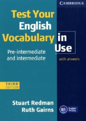 English Vocabulary in use Pre-intermediate and intermediate third edition