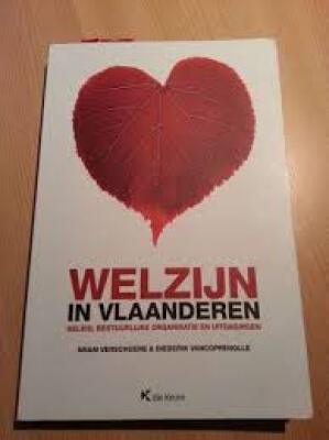 Welzijn in Vlaanderen beleid, bestuurlijke organisatie en uitdagingen