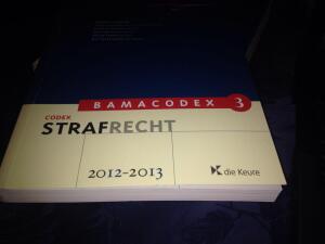 Bamacodex 3 strafrecht