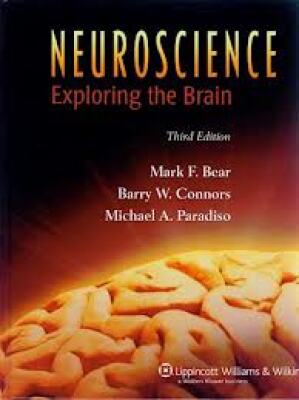 Neuroscience; Exploring the brain (Third edition)