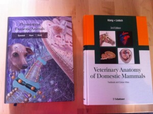 Physiology of domestic animals
