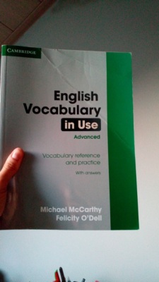 English Vocabulary in Use Advanced