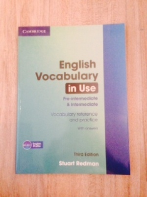 English Vocabulary in use Pre-intermediate and intermediate third edition