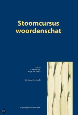 Stoomcursus woordenschat