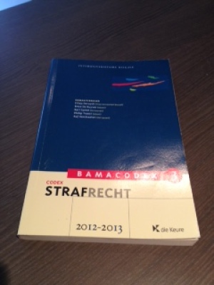 Bamacodex 3 strafrecht