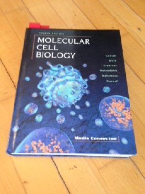 Molecular Cell Biology