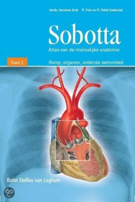 SOBOTTA Deel 2 Romp, organen, onderste extremiteit