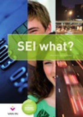 SEI what?