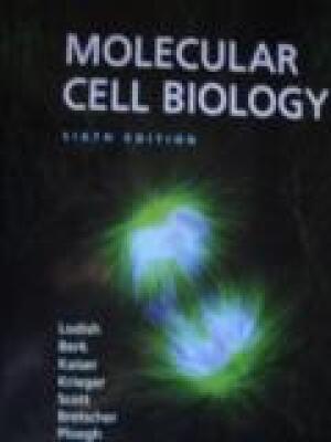 molecular cell biology