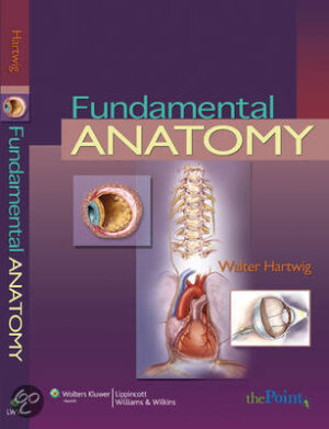 Fundamental anatomy