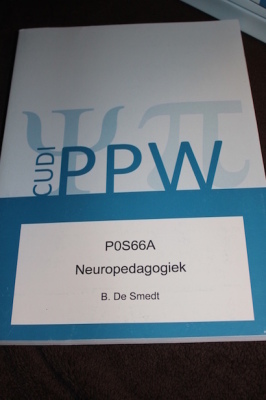 Neuropedagogiek